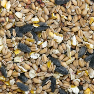 BAMFORDS 4 SEASONS WILD BIRD FOOD 20KG