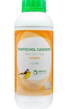 Pantochol Cagebird 100ml