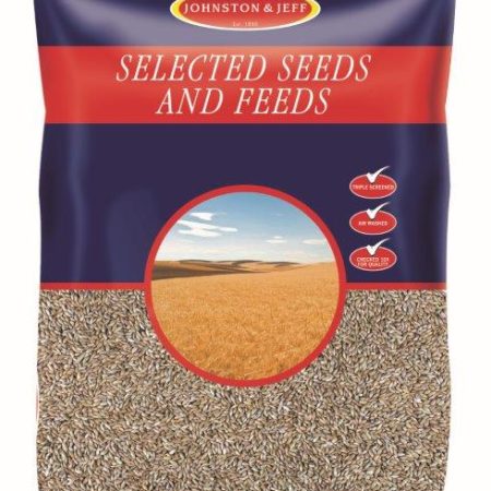 Plain Canary Seed