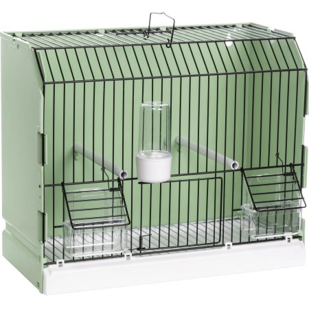 Green show cage with black wire front