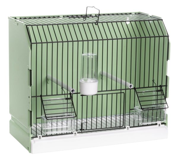 Green show cage with black wire front