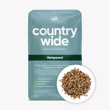 Hempseed