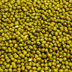 MUNG BEANS