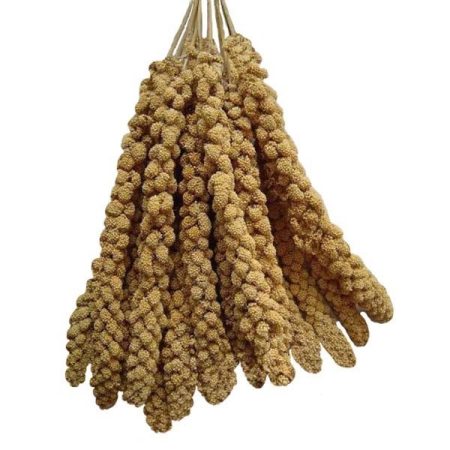 Millet Sprays