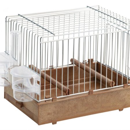 Songbird Cage