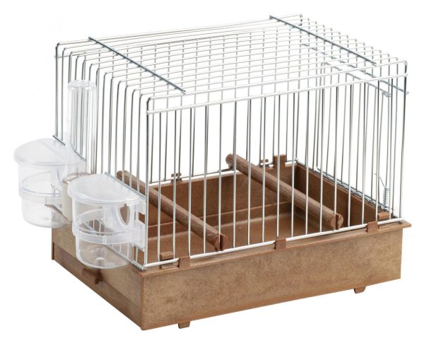 Songbird Cage