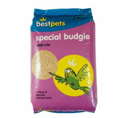 Best Pets Special Budgie