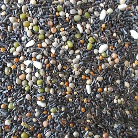 Vaesen Fine Germination/Soak seed